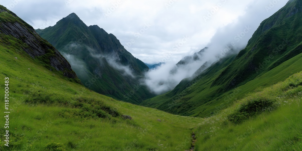 Fototapeta premium A stunning green valley fills the space between towering mountains, blanketed with fog, capturing the essence of wilderness and the allure of untouched natural beauty.