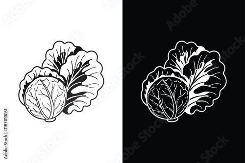 Cabbage icon vector on White Background ,Vector Art Illustration on white background.