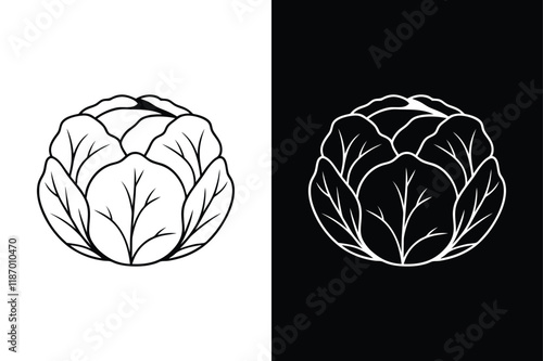 Cabbage icon vector on White Background ,Vector Art Illustration on white background.