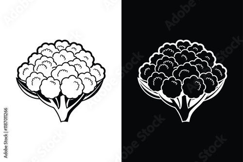 Cauliflower icon vector on White Background ,Vector Art Illustration on white background.