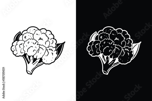 Cauliflower icon vector on White Background ,Vector Art Illustration on white background.