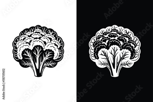Cauliflower icon vector on White Background ,Vector Art Illustration on white background.