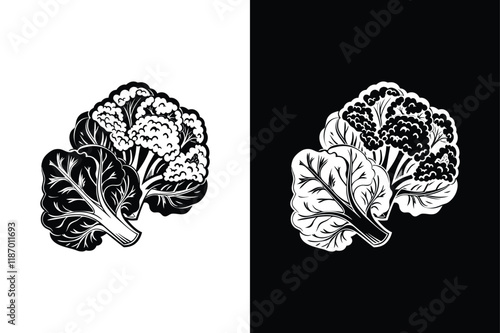 Cauliflower icon vector on White Background ,Vector Art Illustration on white background.
