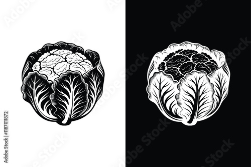 Cauliflower icon vector on White Background ,Vector Art Illustration on white background.