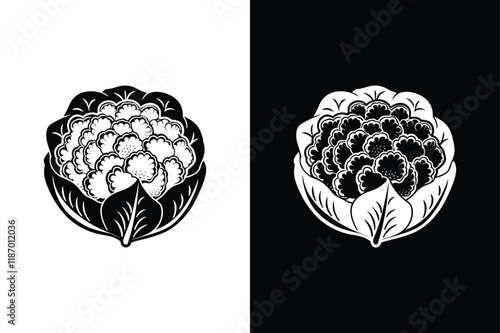 Cauliflower icon vector on White Background ,Vector Art Illustration on white background.