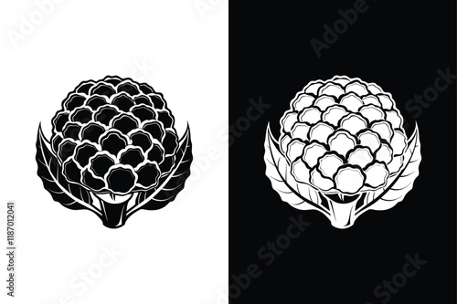 Cauliflower icon vector on White Background ,Vector Art Illustration on white background.
