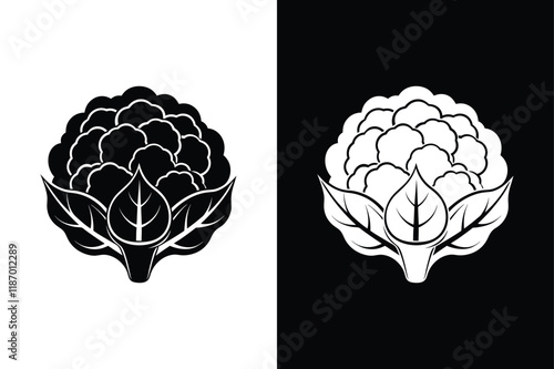 Cauliflower icon vector on White Background ,Vector Art Illustration on white background.