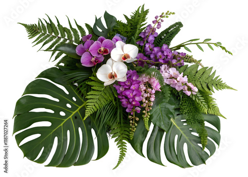 Tropical vibes plant bush floral arrangement with tropical leaves Monstera and fern and Vanda orchids tropical flower decor on tree branch liana vine plant isolated on white background