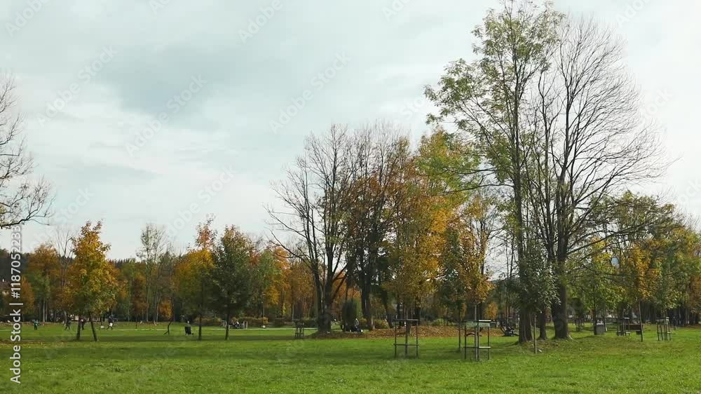 Colorful foliage of an autumn tree swaying in the wind. Slow motion. High quality FullHD footage Colorful foliage of an autumn tree swaying in the wind. Slow motion. High quality FullHD footage