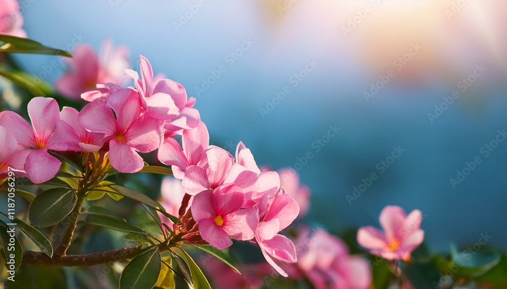 Obraz premium pink flowers blooming in hd wallpaper