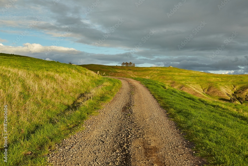 Obraz premium Countryside dirt road through farmlands on Motutapu