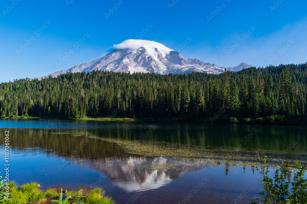 The iconic glaciated peak of Mt. Rainier as seen from Reflection Lakes in Mt. Rainier National Park, Washington, USA. The iconic glaciated peak of Mt. Rainier as seen from Reflection Lakes in Mt. Rainier National Park, Washington, USA.