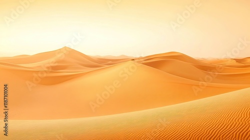 Golden Sands Undulating Desert Landscape photo