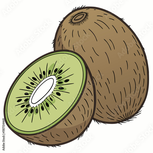 kiwi fruit on a white background