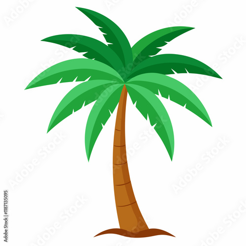 palm tree vector illustration