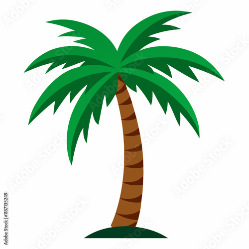 palm tree vector illustration