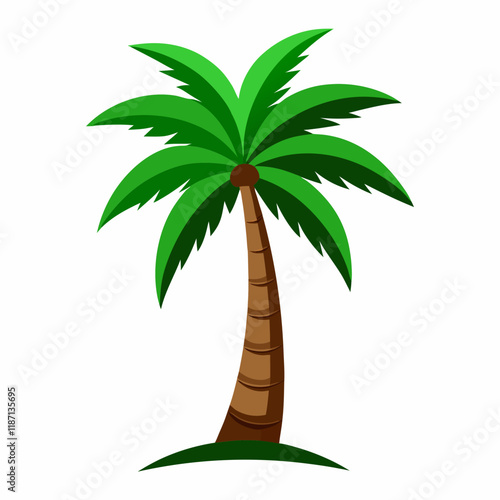 palm tree vector illustration