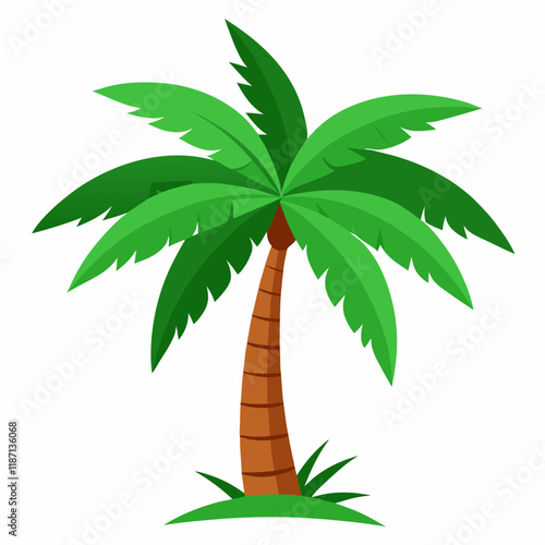 palm tree vector illustration