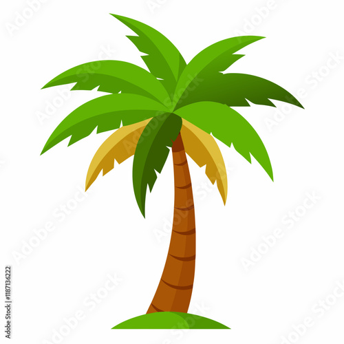 palm tree illustration