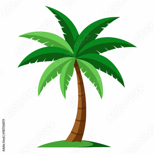 palm tree illustration