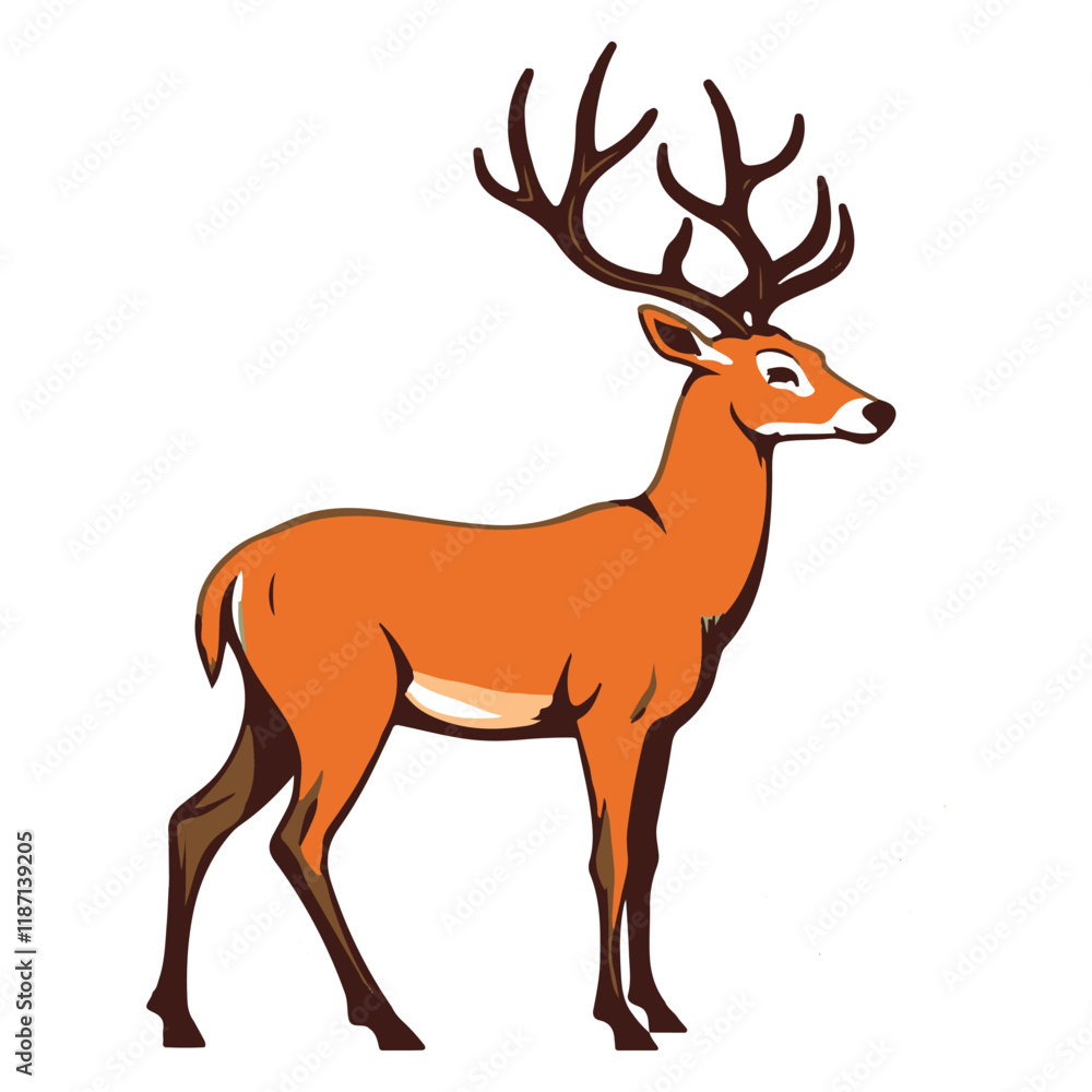 Fototapeta premium An American deer stands against a white backdrop