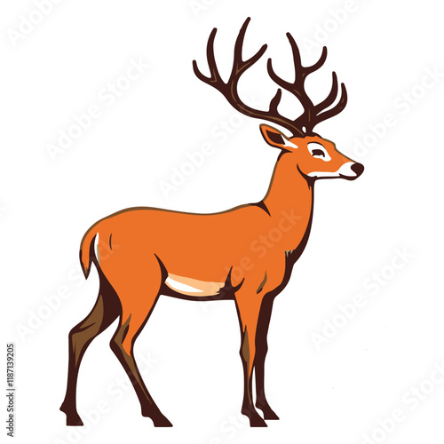 An American deer stands against a white backdrop