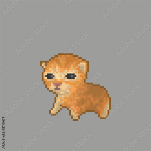 Cute little cat, pixel art meme photo