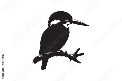 Kingfisher Silhouette vector 