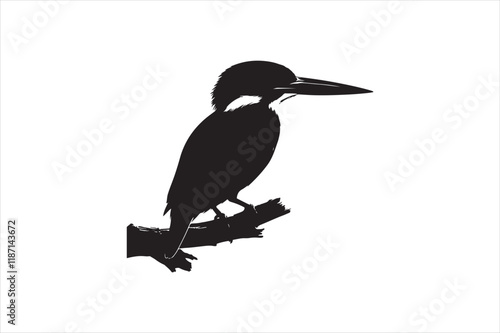 Kingfisher Silhouette vector 