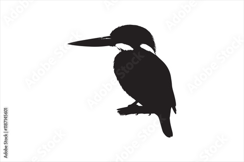 Kingfisher Silhouette vector 