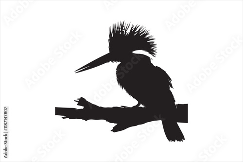 Kingfisher Silhouette vector 