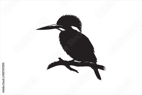 Kingfisher Silhouette vector 