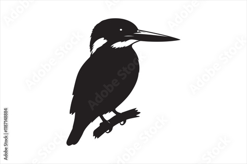 Kingfisher Silhouette vector 