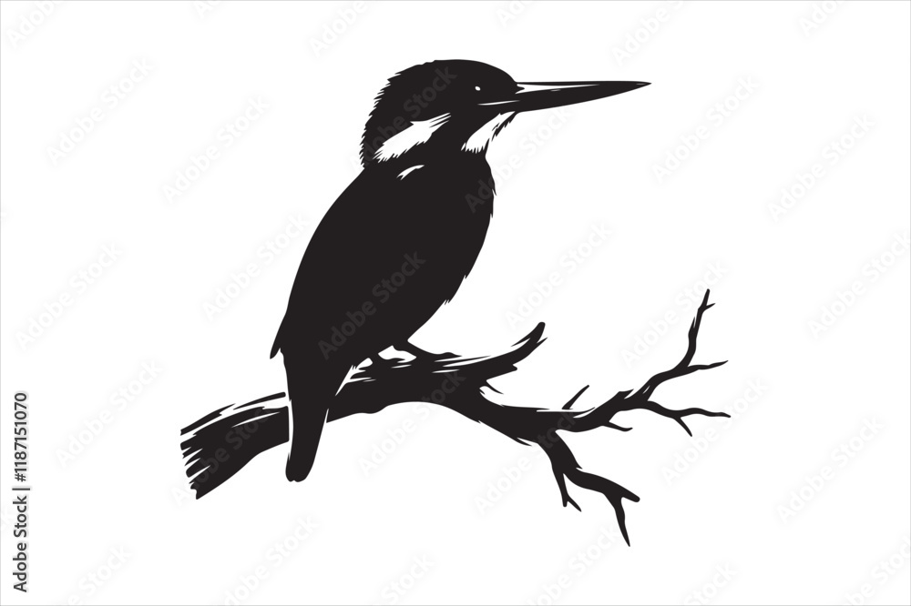 Obraz premium Kingfisher Silhouette vector 