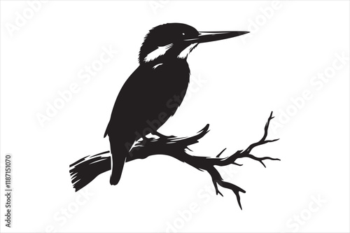 Kingfisher Silhouette vector 