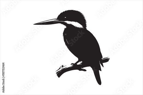 Kingfisher Silhouette vector 