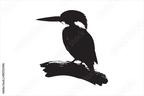 Kingfisher Silhouette vector 