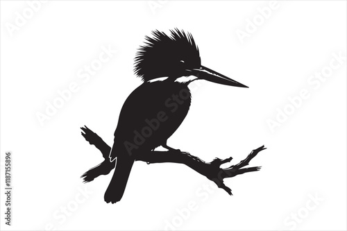 Kingfisher Silhouette vector 