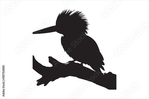 Kingfisher Silhouette vector 