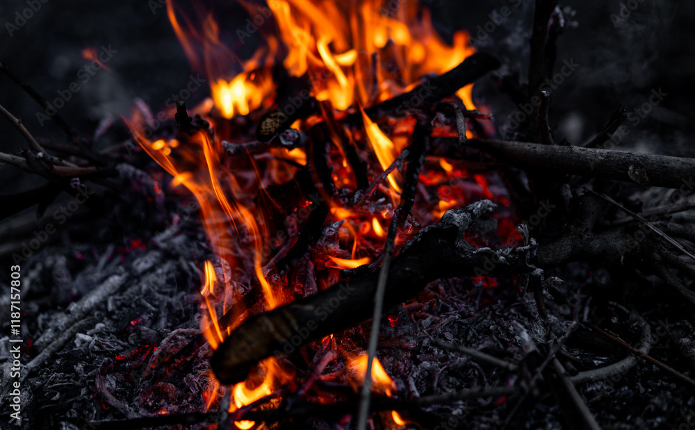 Fire crackles and flames dance among twigs and ash in a quiet nighttime setting Fire crackles and flames dance among twigs and ash in a quiet nighttime setting