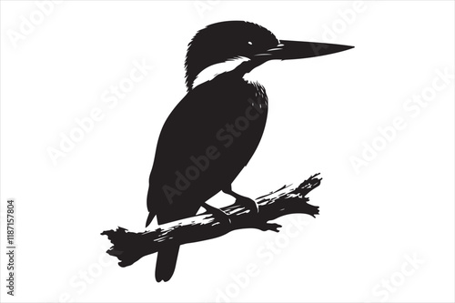 Kingfisher Silhouette vector 