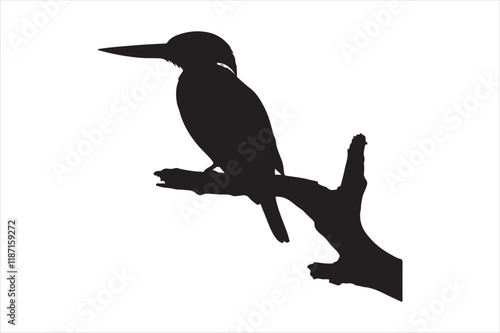 Kingfisher Silhouette vector 