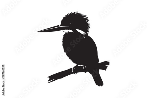 Kingfisher Silhouette vector 
