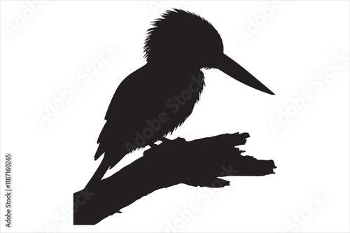 Kingfisher Silhouette vector 