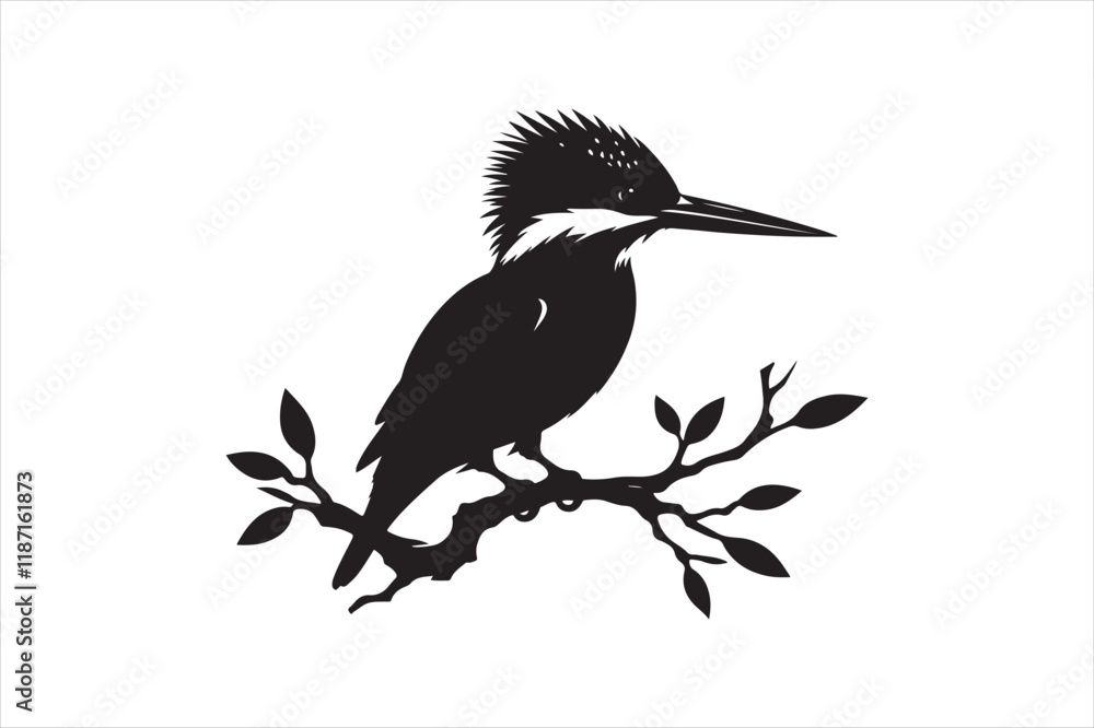 Obraz premium Kingfisher Silhouette vector 
