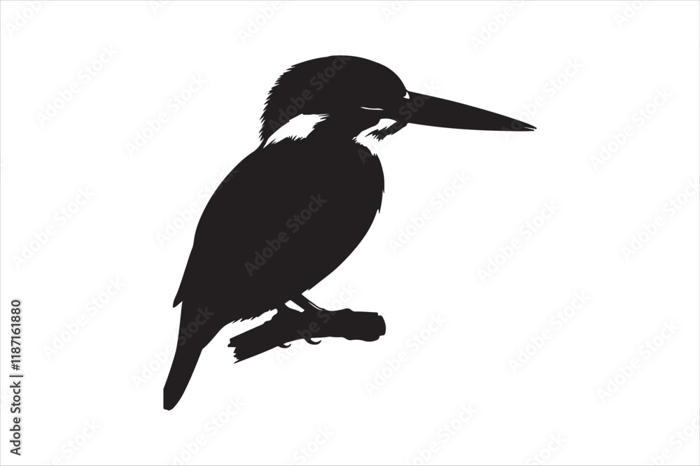 Obraz premium Kingfisher Silhouette vector 