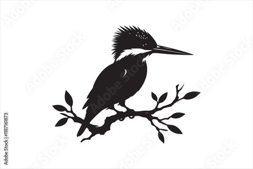 Kingfisher Silhouette vector 