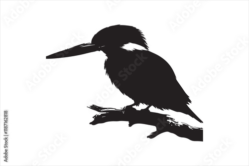 Kingfisher Silhouette vector 