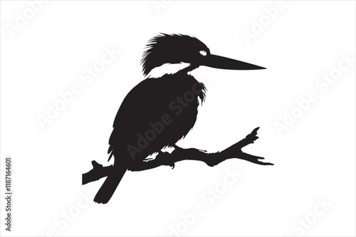 Kingfisher Silhouette vector 