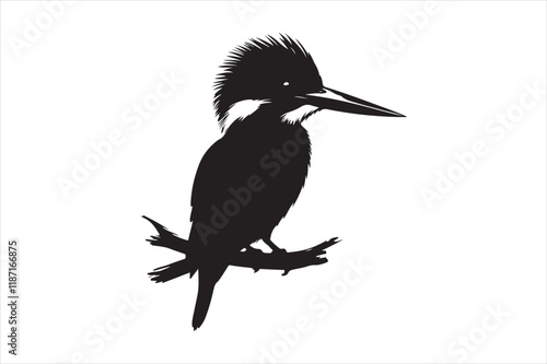 Kingfisher Silhouette vector 
